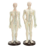 مولاژ طب سوزنی تمام تنه انسان مرد