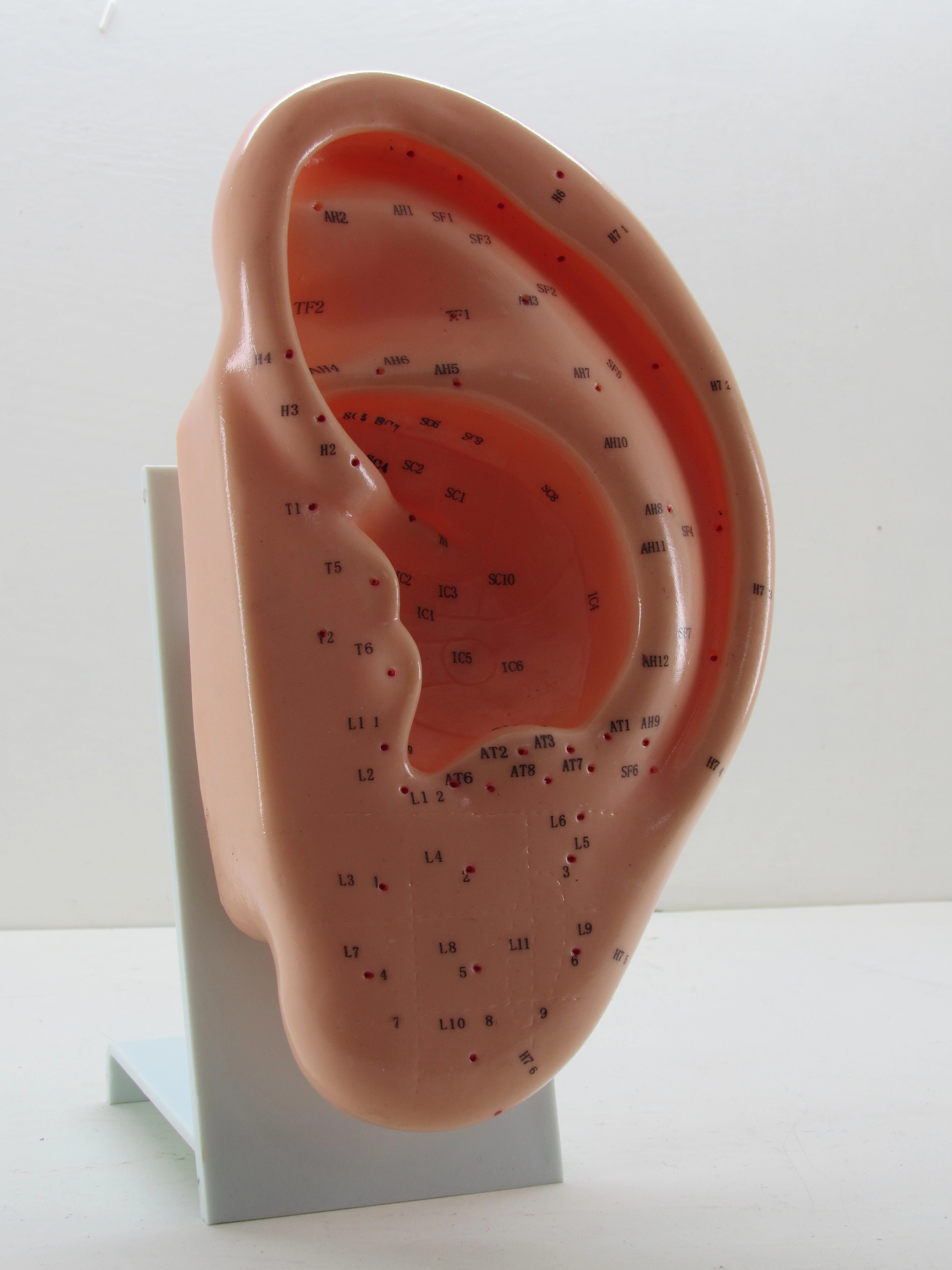 ساخت مولاژگوش