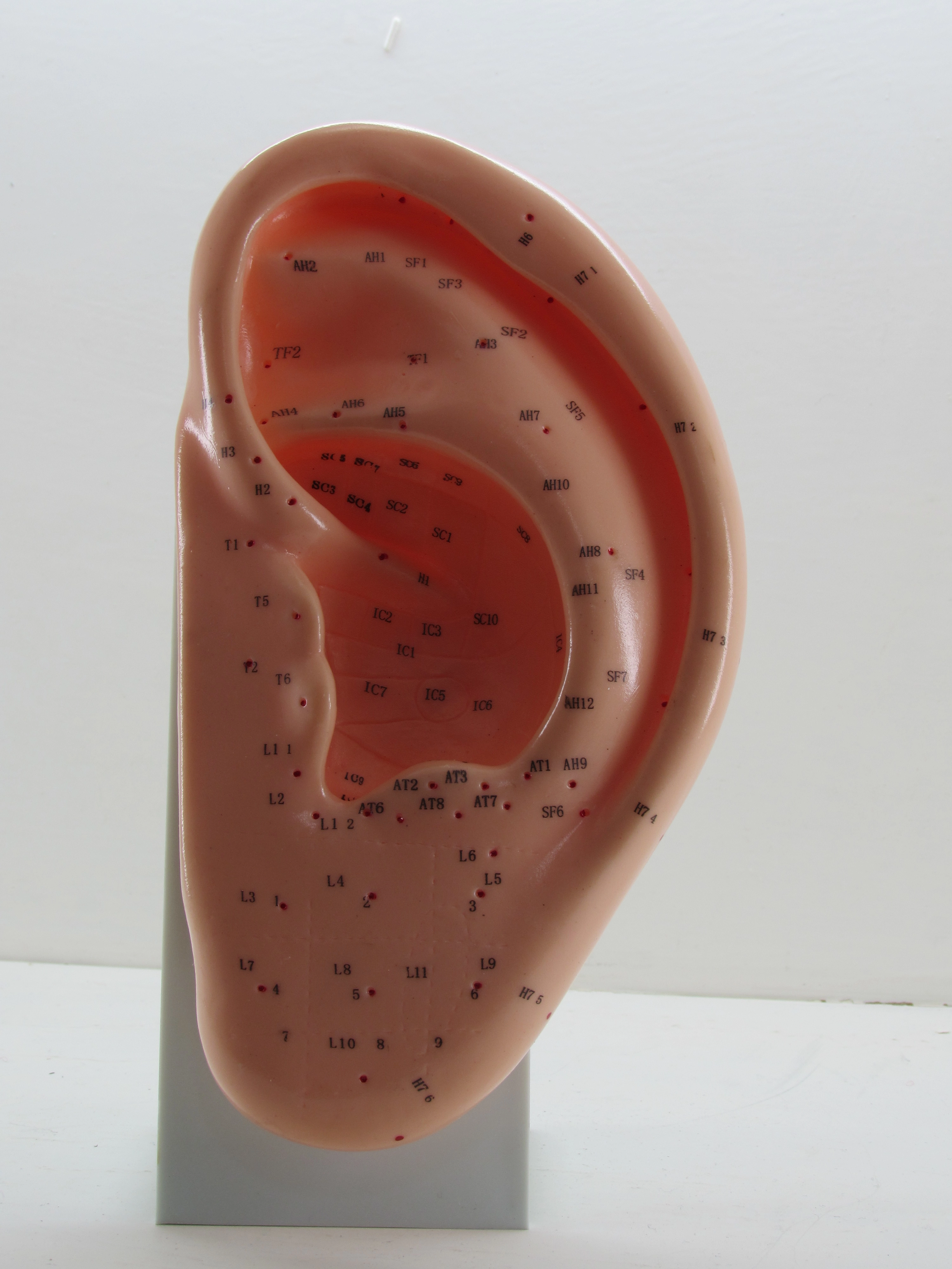 تحقیق در مورد مولاژگوش