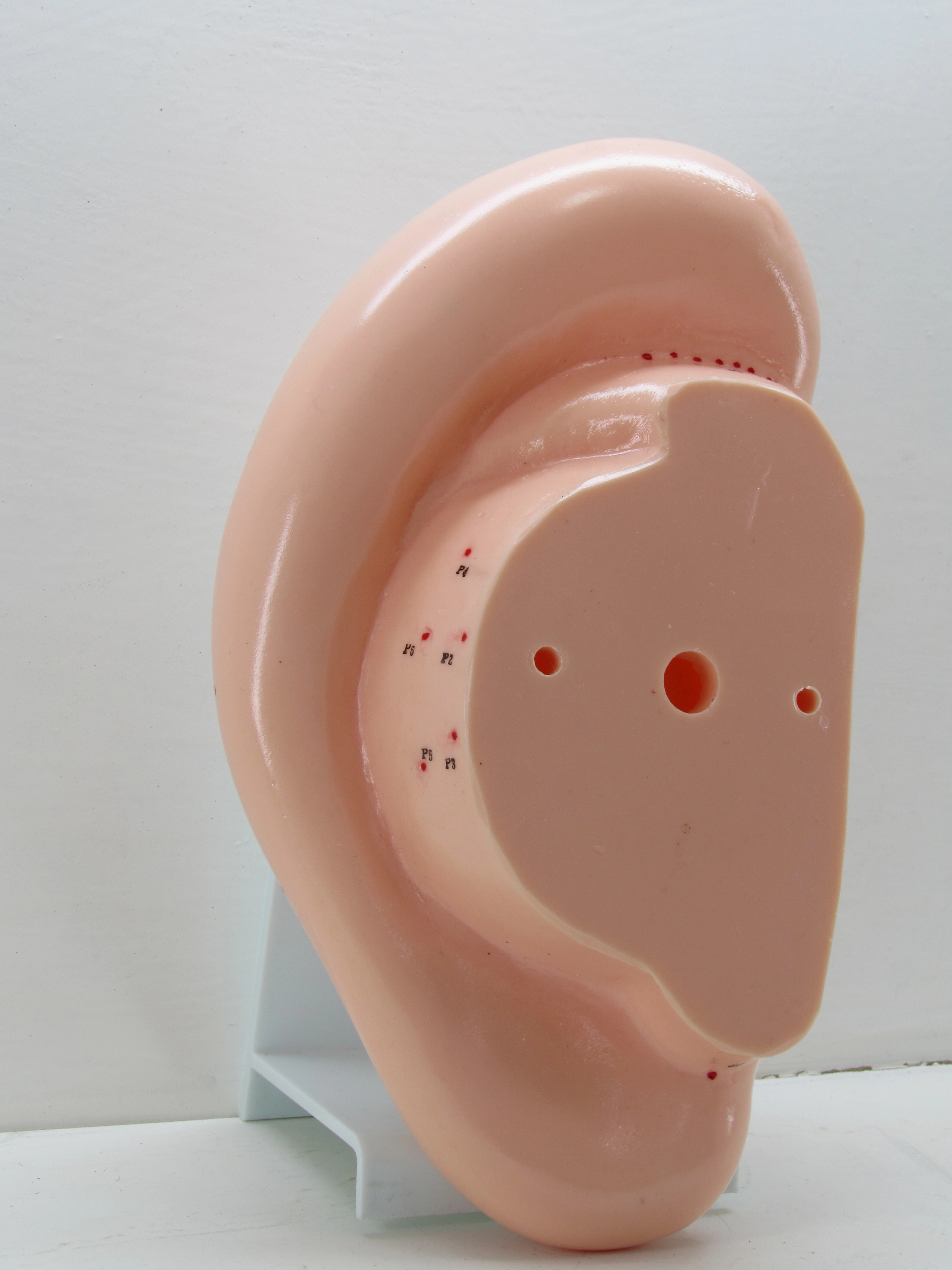 عکس مولاژگوش