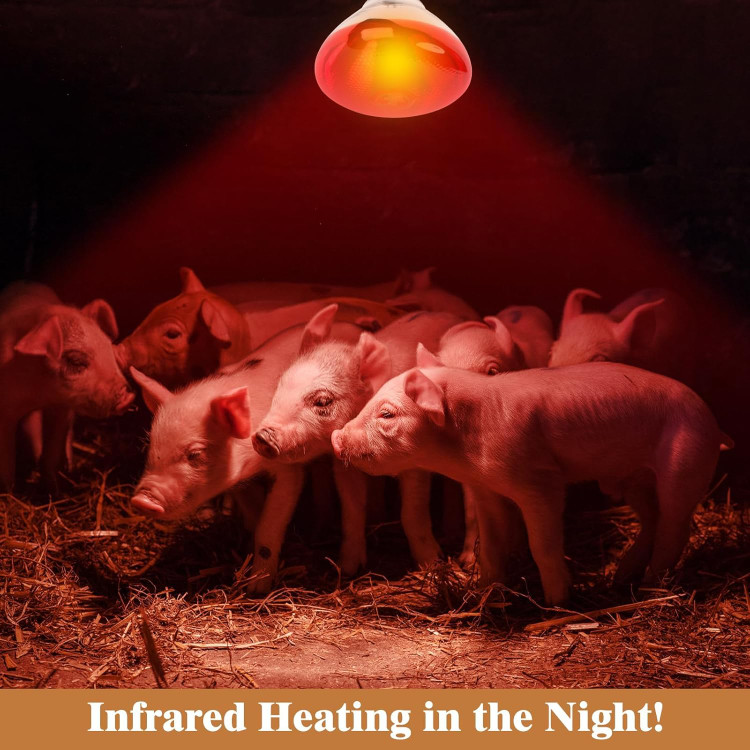 لامپ مادون قرمز